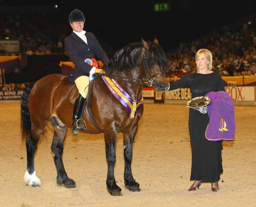 hoys1 2007