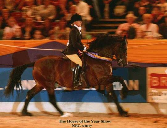 hoys2 2007